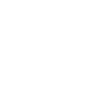 Sem repetição no mês